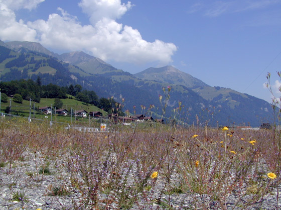 Frutigen_Land2.jpg