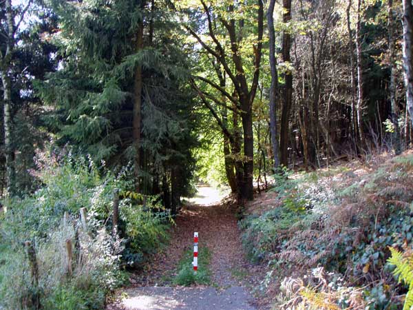 weg2.jpg