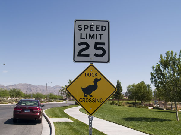 duck_crossing.jpg